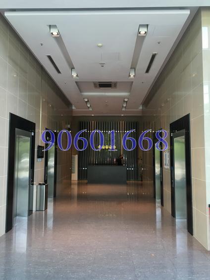 Primz Bizhub (D25), Factory #146208282